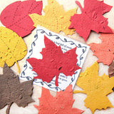 Recycled Ideas Favors plantable paper maple leaves in fall colors with card
