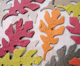 oak leaf plantable paper oak leaves in fall colors