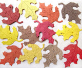 seed paper oak leaves in fall colors