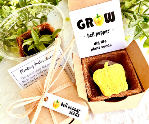 bell pepper seeds for planting Bell Pepper Seed Planting Kit