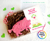 Recycled Ideas Favors plantable paper pig with cards and gift box