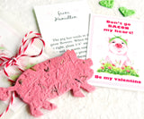 Recycled Ideas Favors plantable paper pig with cards and gift bag
