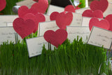 Recycled Ideas Favors plantable paper hearts and cards