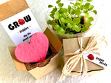 Poppy Seed Starting  Kit with Plantable Paper and Pot