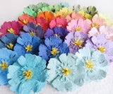 Anemone Seed Paper Flowers - Dimensional layered flowers