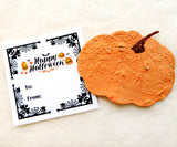 seed paper pumpkin with Happy Halloween card
