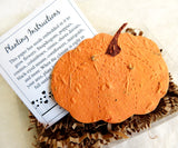 seed paper pumpkin gift box recycled ideas plantable paper