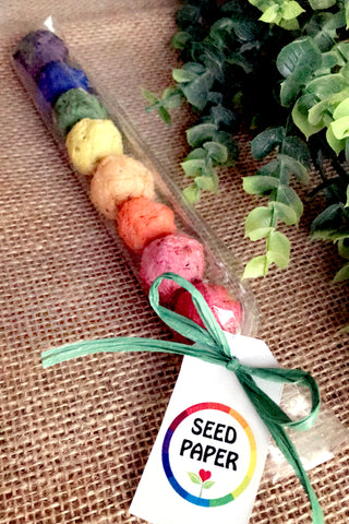 seed ball kit rainbow garden Rainbow Seed Bombs Gift Pack 175