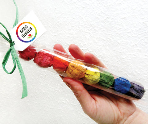 seed ball kit rainbow garden Rainbow Seed Bombs Gift Pack – Recycled Ideas Favors
