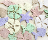 Recycled Ideas Favors plantable paper shells succulents colors periwinkle plantable shells and fish