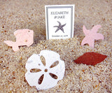 recycledideas plantable paper confetti shells pink starfish brown sand dollars recycled ideas