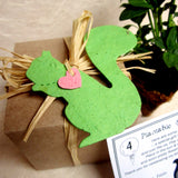Recycled Ideas Favors plantable paper green squirrel with card and gift box