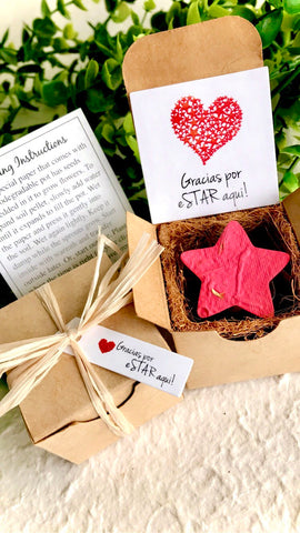 flower seed party favors Spanish Language Party Favors