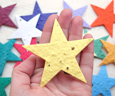 Seed Paper Stars - Custom School Staff Recognition