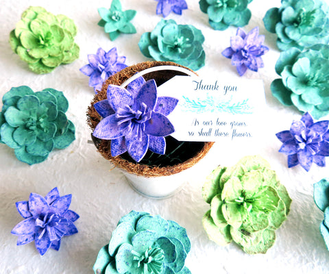 plantable succulents Succulents Seed Paper Flowers Gift Box Set 24