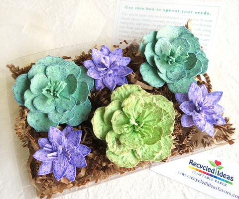 Succulents Seed Paper Flowers Gift Box Set – Recycled Ideas Favors