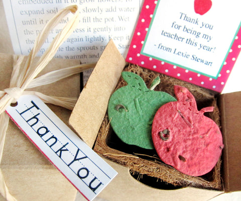 Recycled Ideas Favors plantable paper apples teach appreciation gift box favor