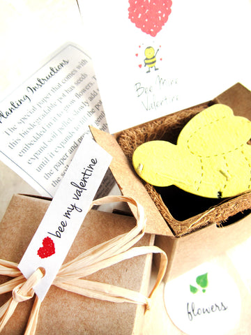 Plantable Seed Paper Apples Teacher Thank You Gift Box – Recycled Ideas  Favors