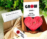 Zinnia Seed Starting  Kit with Plantable Paper and Pot