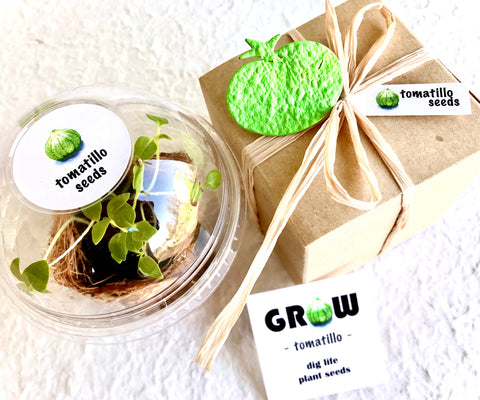 planting tomatillo seeds Tomatillo Seed Planting Kit – Recycled Ideas Favors