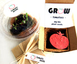 Seed Starting  Kit with Plantable Paper and Pot - Tomatoes, Basil and More