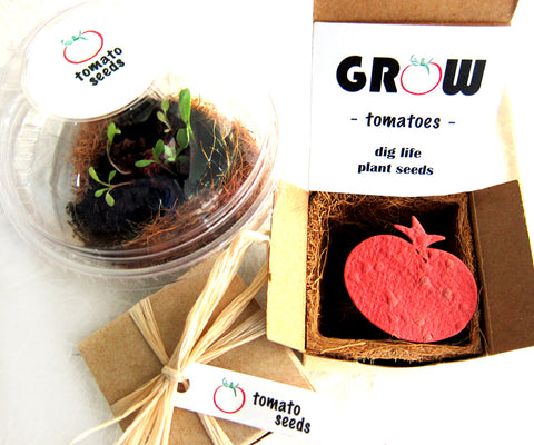 idea plant seeds cap Seed Starter Planting Kit - Tomatoes Peppers and more