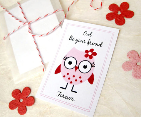 Valentine's Day Owl Valentines with plantable paper owls - Owl Be Your Friend - set of 24