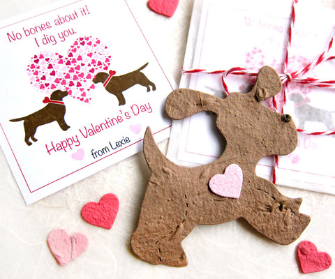 chocolate lab Valentines Day cards