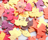 Recycled Ideas Favors plantable paper fall color leaves