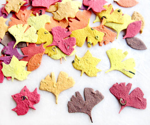 Recycled Ideas Favors plantable paper fall color leaves
