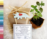 Recycled Ideas Favors plantable paper triceratops with card, plantable pot and box