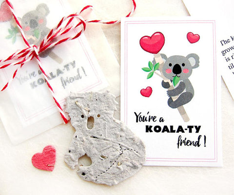 24 Flower Seed Koala Valentines for Kids School Valentine's Day