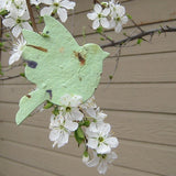 Recycled Ideas Favors plantable paper light green dove