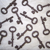 brown seed paper skeleton keys