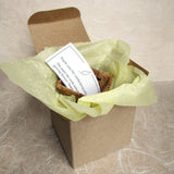 Recycled Ideas Favors gift box with card and plantable pot