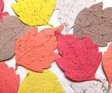 Recycled Ideas Favors plantable paper mulberry leaves in fall colors
