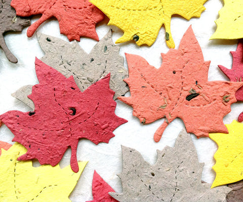 Recycled Ideas Favors plantable paper maple leaves in fall colors