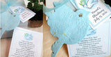 Recycled Ideas Favors plantable paper light blue dove with pot, cards and gift box