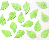 100 Seed Paper Birch Leaves - Plantable Wedding Favor Decor - Option for Plantable Pots and Cards