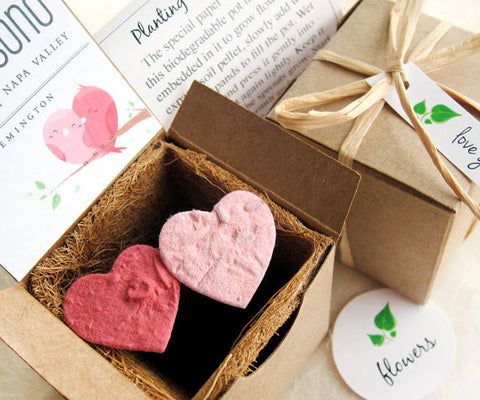 Recycled Ideas Favors gift box, pot and plantable paper hearts with cards